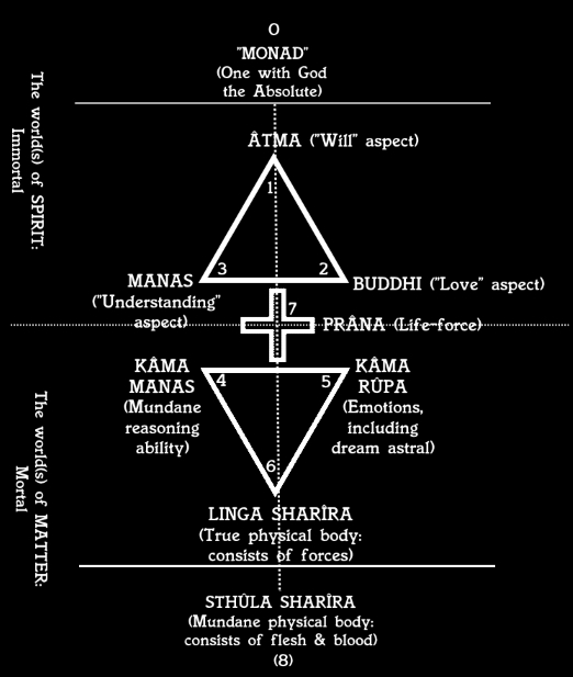 SoA_Schema_of_7+2_Principles.jpg